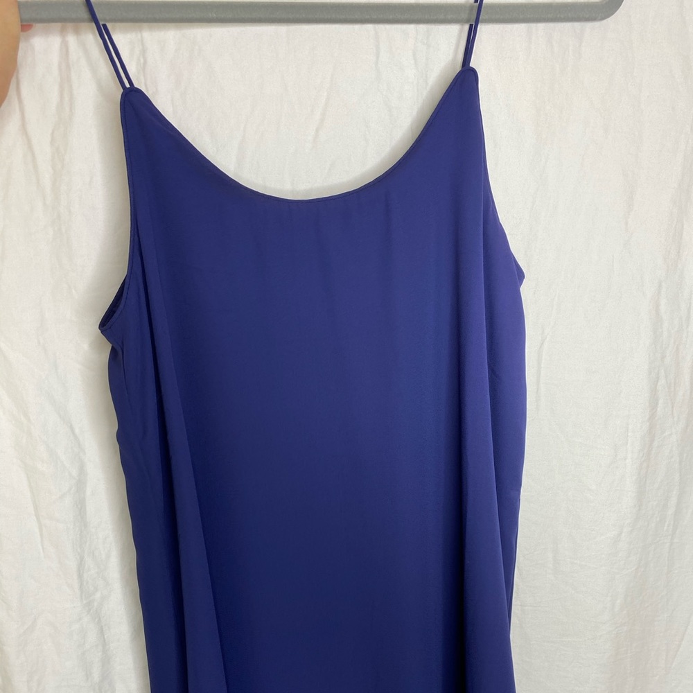 Francesca‘s mini dress